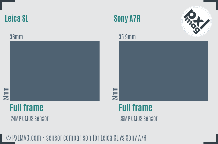 Leica SL vs Sony A7R sensor size comparison