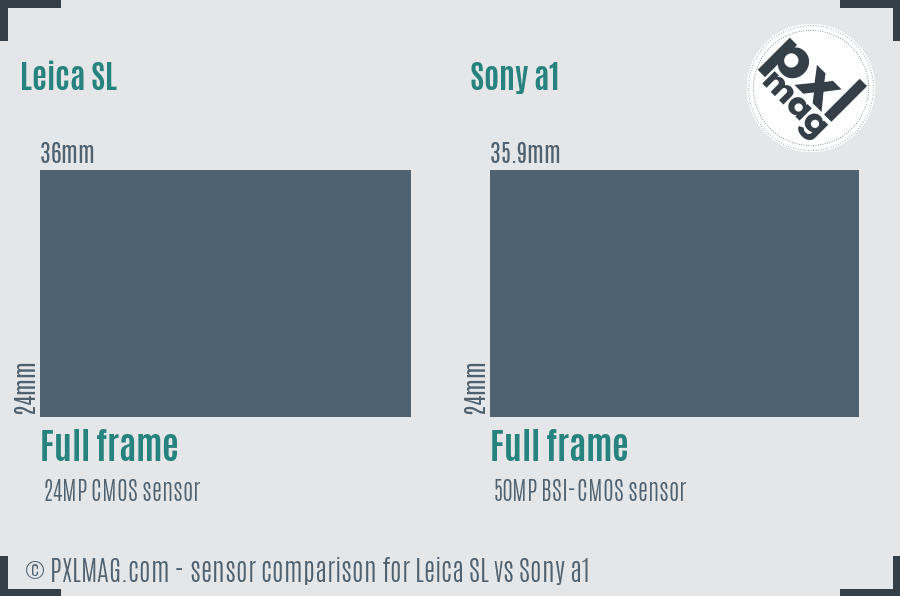 Leica SL vs Sony a1 sensor size comparison