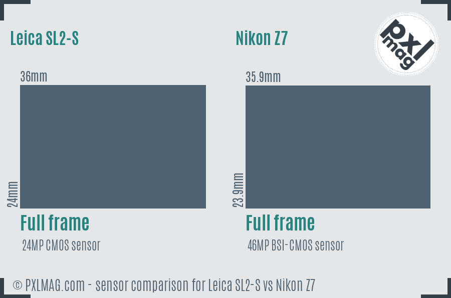 Leica SL2-S vs Nikon Z7 sensor size comparison