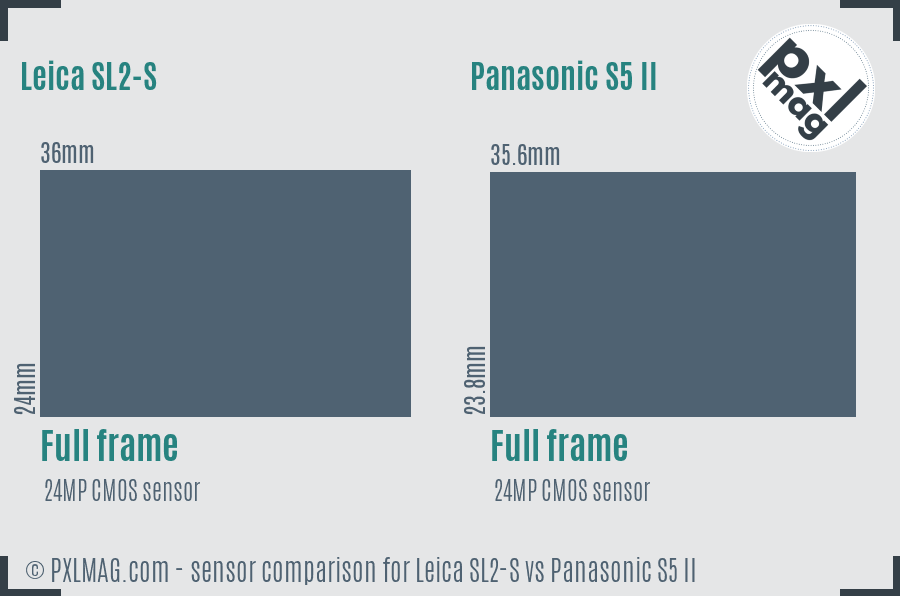 Leica SL2-S vs Panasonic S5 II sensor size comparison