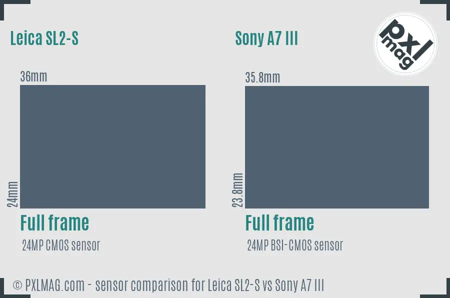 Leica SL2-S vs Sony A7 III sensor size comparison