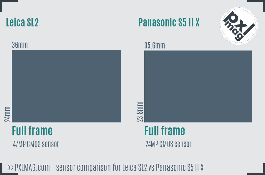 Leica SL2 vs Panasonic S5 II X sensor size comparison