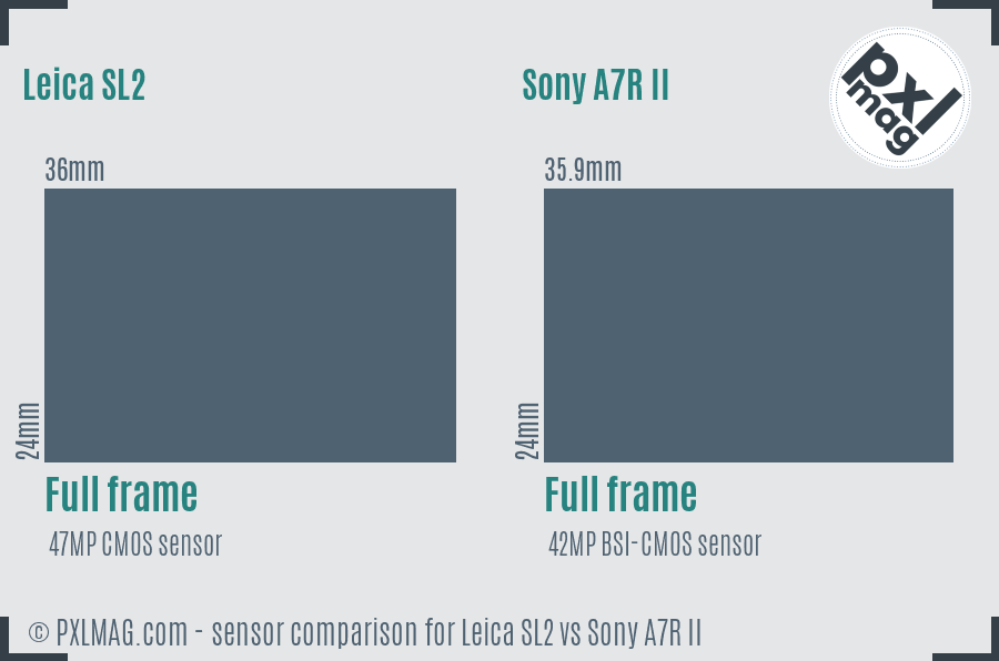 Leica SL2 vs Sony A7R II sensor size comparison