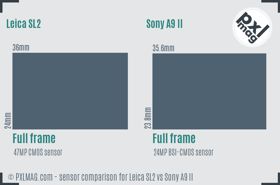 Leica SL2 vs Sony A9 II sensor size comparison
