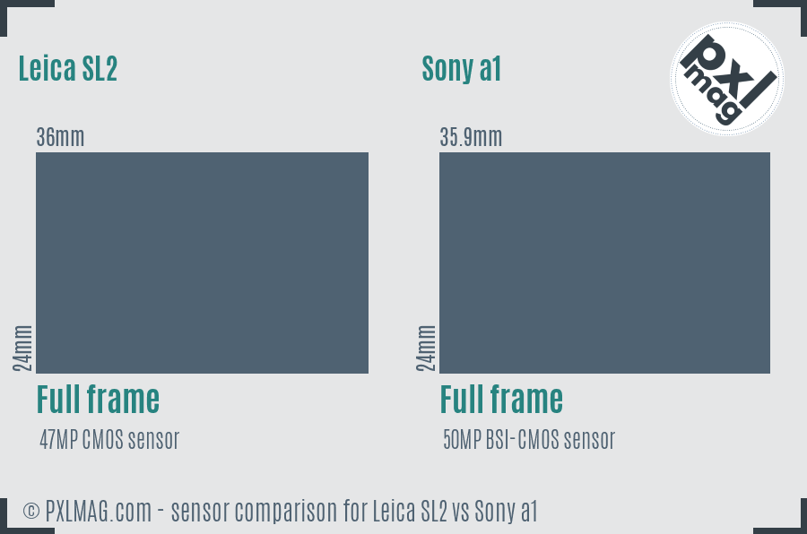 Leica SL2 vs Sony a1 sensor size comparison