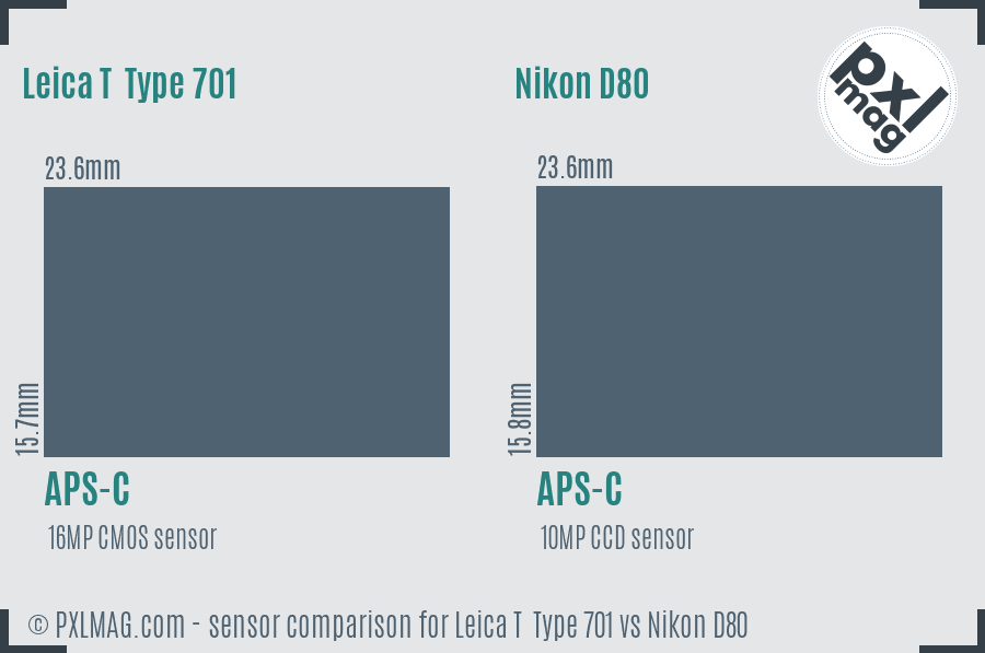 Leica T  Type 701 vs Nikon D80 sensor size comparison