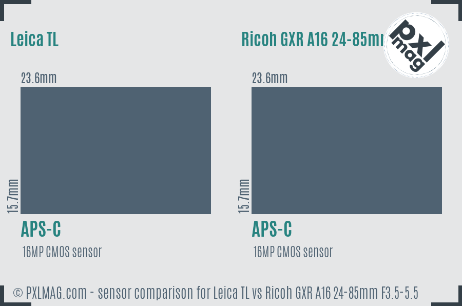 Leica TL vs Ricoh GXR A16 24-85mm F3.5-5.5 sensor size comparison