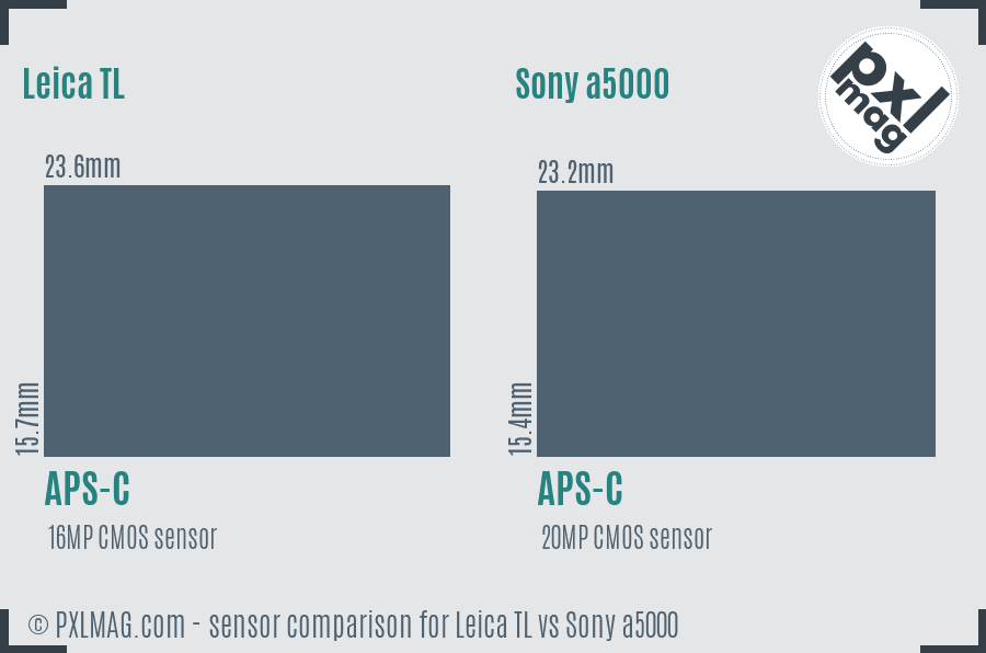 Leica TL vs Sony a5000 sensor size comparison