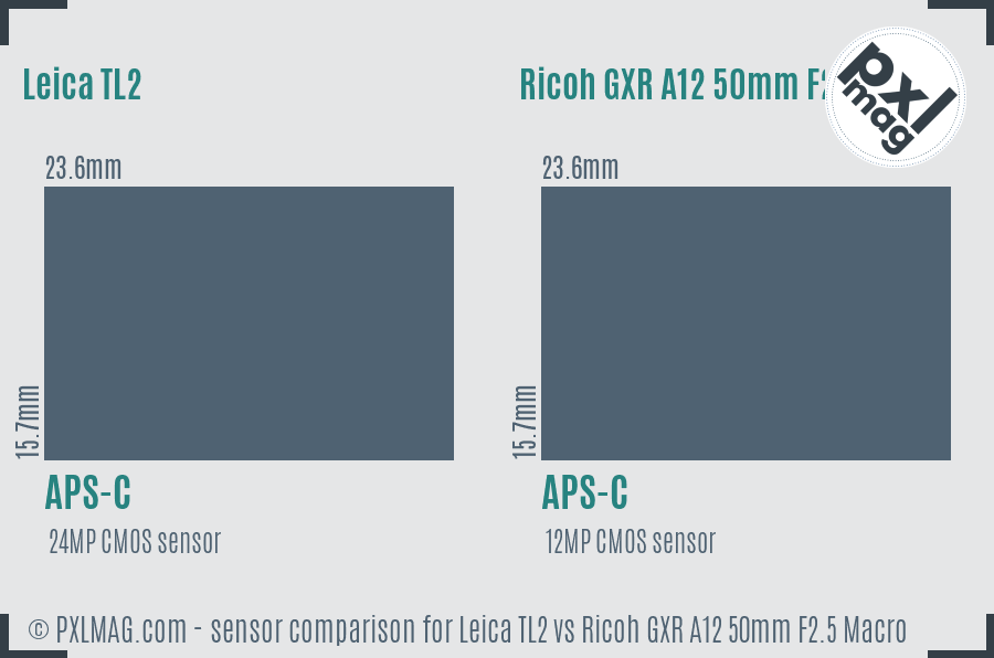 Leica TL2 vs Ricoh GXR A12 50mm F2.5 Macro sensor size comparison