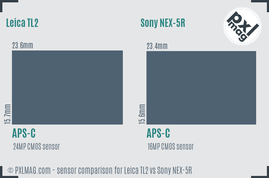Leica TL2 vs Sony NEX-5R sensor size comparison