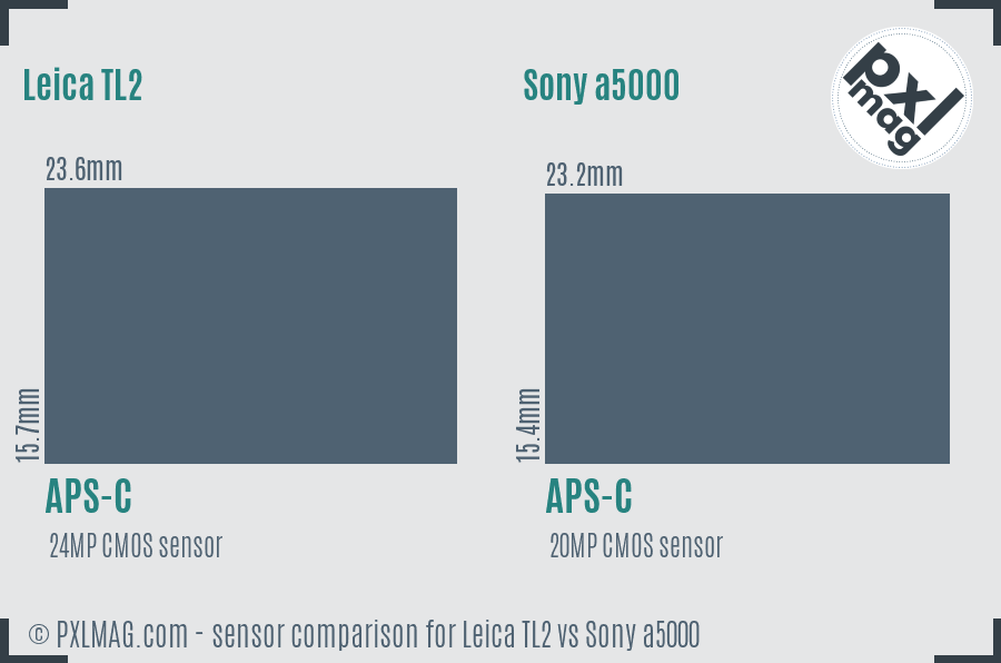 Leica TL2 vs Sony a5000 sensor size comparison