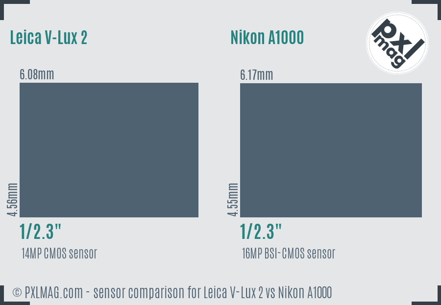 Leica V-Lux 2 vs Nikon A1000 sensor size comparison