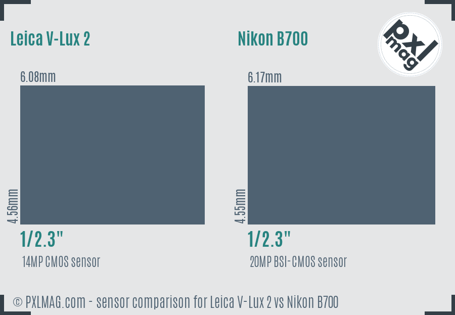 Leica V-Lux 2 vs Nikon B700 sensor size comparison