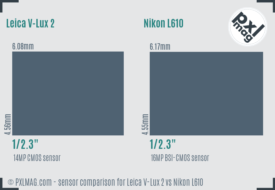 Leica V-Lux 2 vs Nikon L610 sensor size comparison Leica V-Lux 2 vs Nikon L610 sensor size comparison