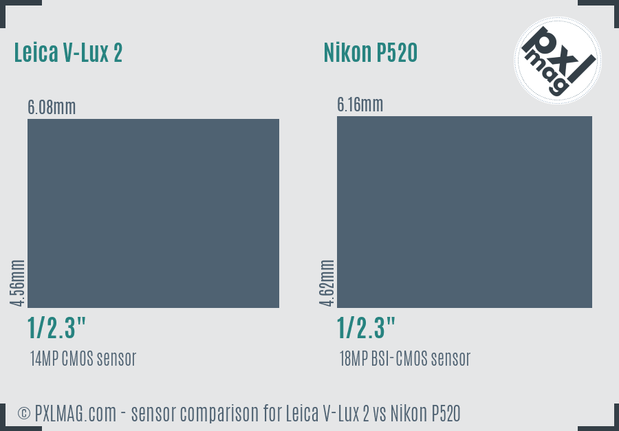 Leica V-Lux 2 vs Nikon P520 sensor size comparison