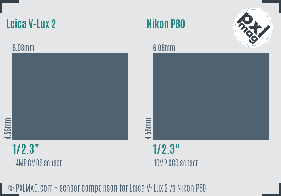 Leica V-Lux 2 vs Nikon P80 sensor size comparison