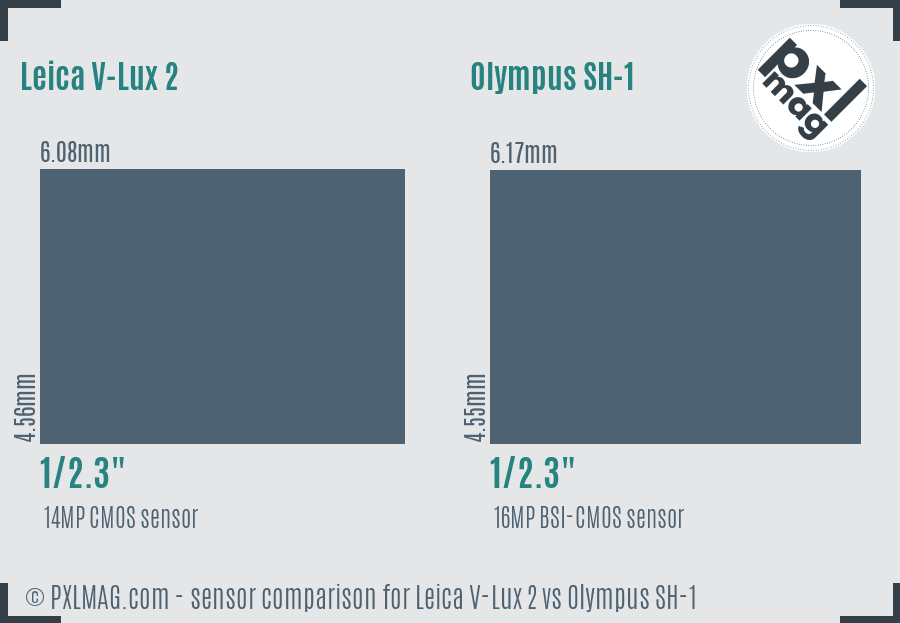 Leica V-Lux 2 vs Olympus SH-1 sensor size comparison