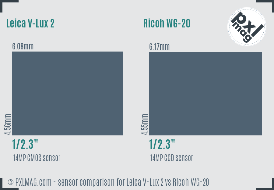 Leica V-Lux 2 vs Ricoh WG-20 sensor size comparison