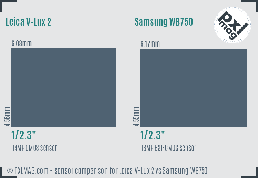 Leica V-Lux 2 vs Samsung WB750 sensor size comparison