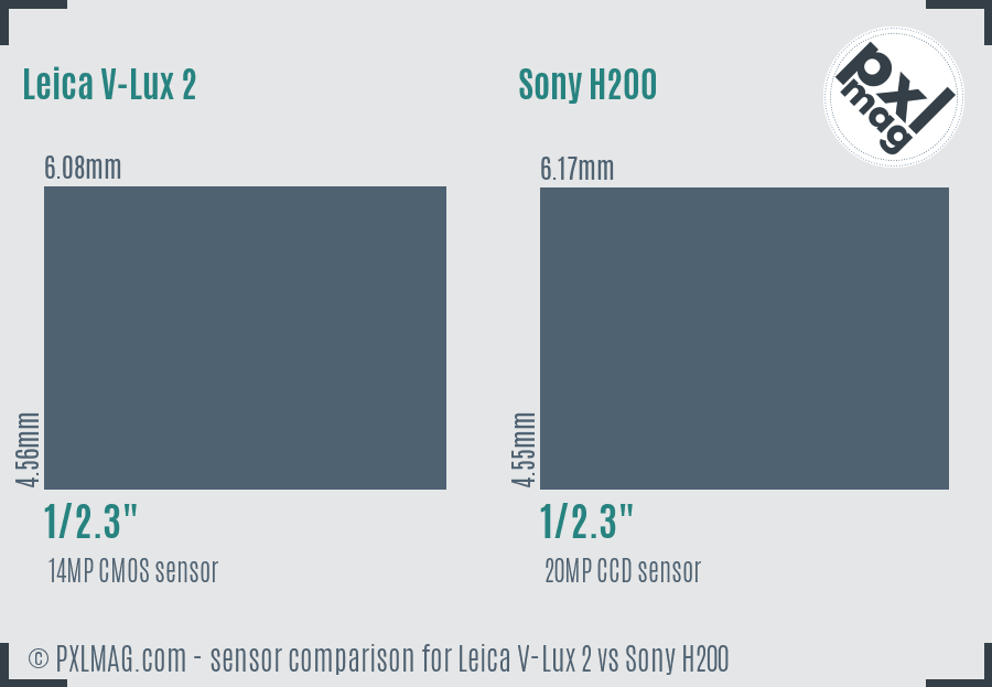 Leica V-Lux 2 vs Sony H200 sensor size comparison