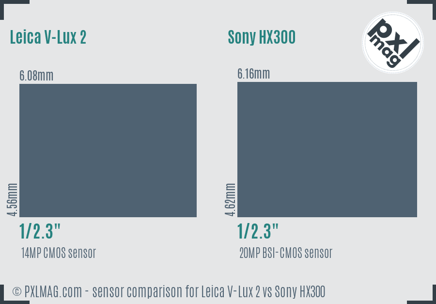 Leica V-Lux 2 vs Sony HX300 sensor size comparison