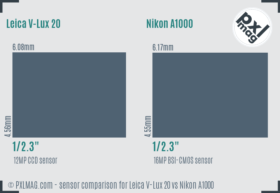 Leica V-Lux 20 vs Nikon A1000 sensor size comparison