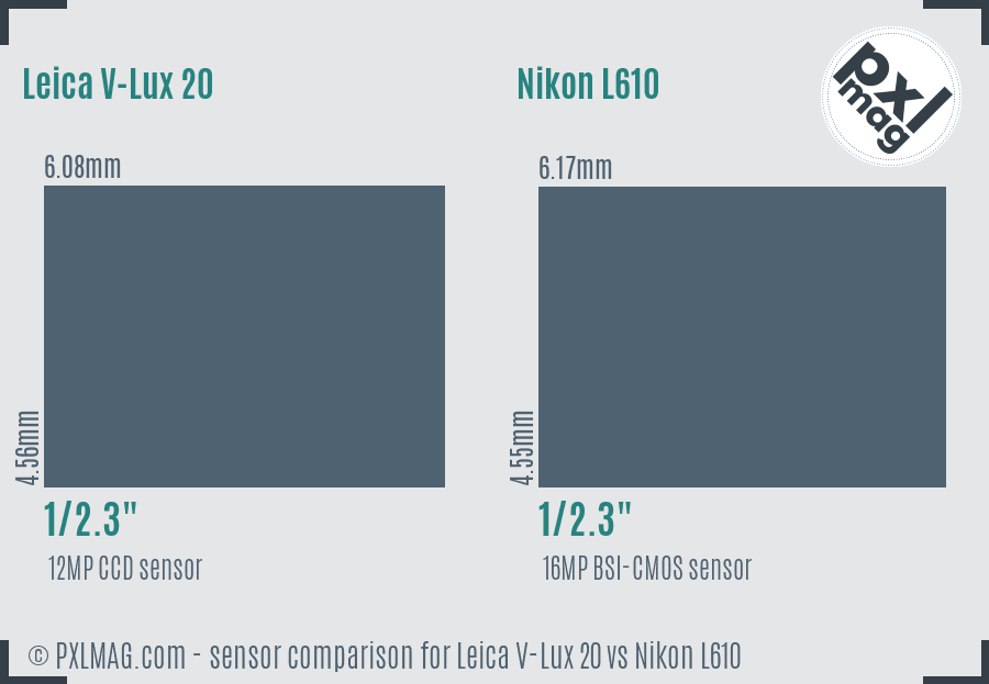Leica V-Lux 20 vs Nikon L610 sensor size comparison