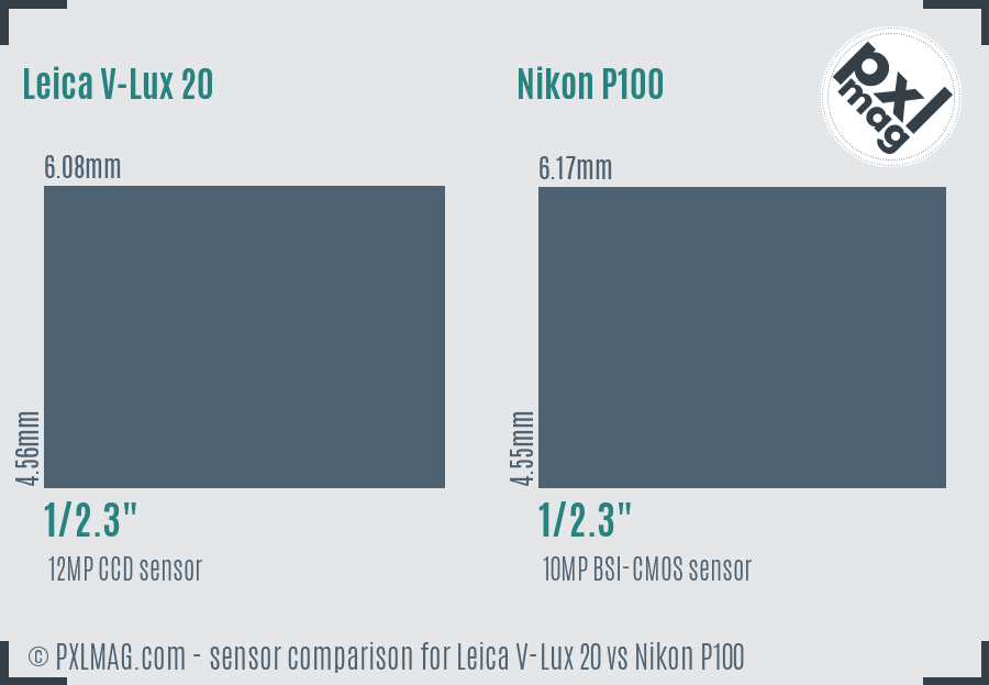 Leica V-Lux 20 vs Nikon P100 sensor size comparison