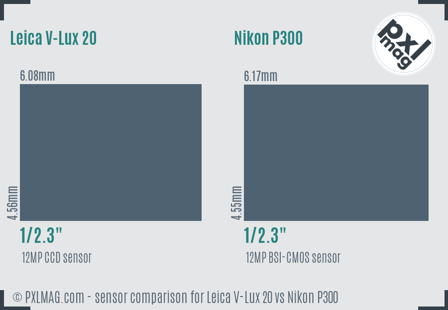 Leica V-Lux 20 vs Nikon P300 sensor size comparison