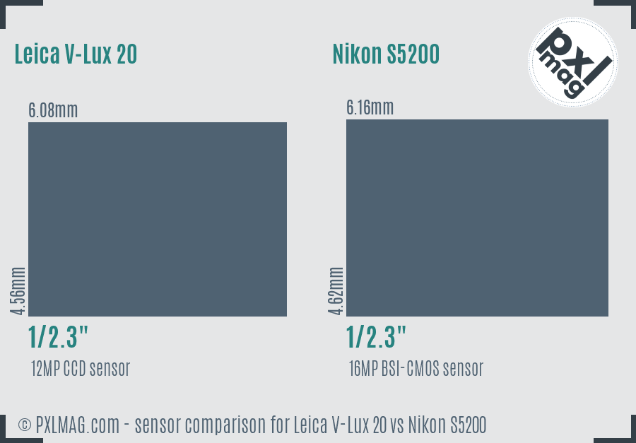 Leica V-Lux 20 vs Nikon S5200 sensor size comparison