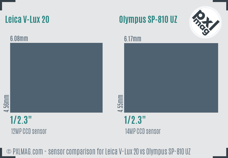 Leica V-Lux 20 vs Olympus SP-810 UZ sensor size comparison