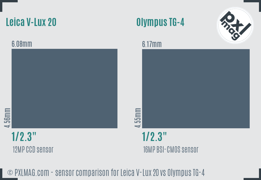 Leica V-Lux 20 vs Olympus TG-4 sensor size comparison