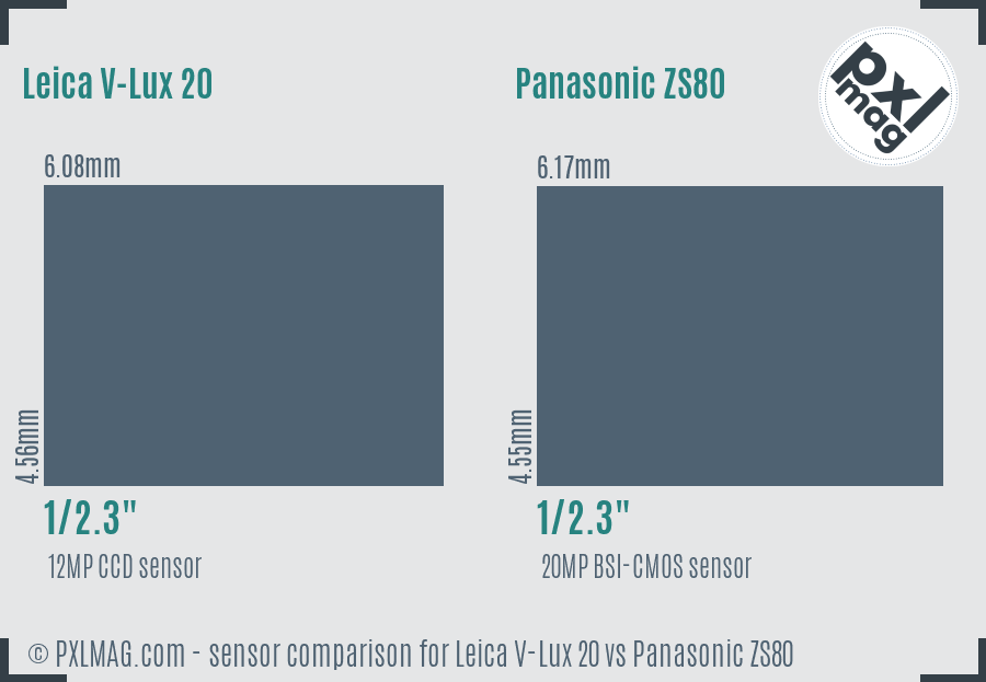Leica V-Lux 20 vs Panasonic ZS80 sensor size comparison