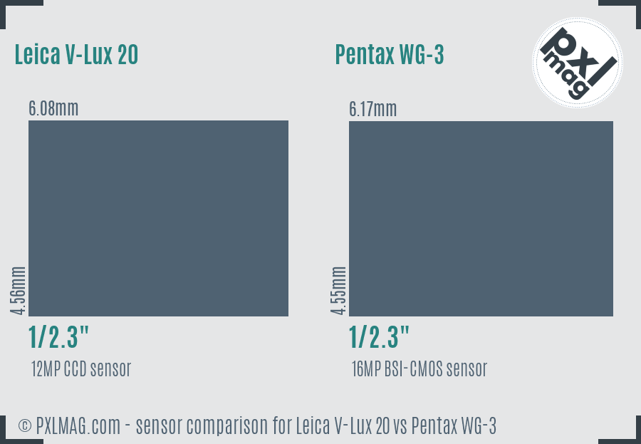 Leica V-Lux 20 vs Pentax WG-3 sensor size comparison