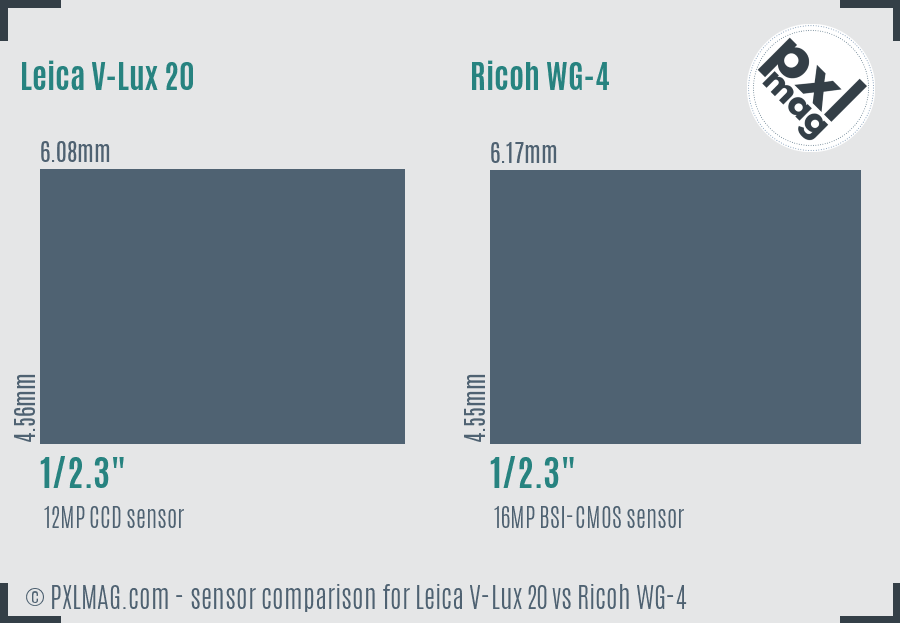 Leica V-Lux 20 vs Ricoh WG-4 sensor size comparison
