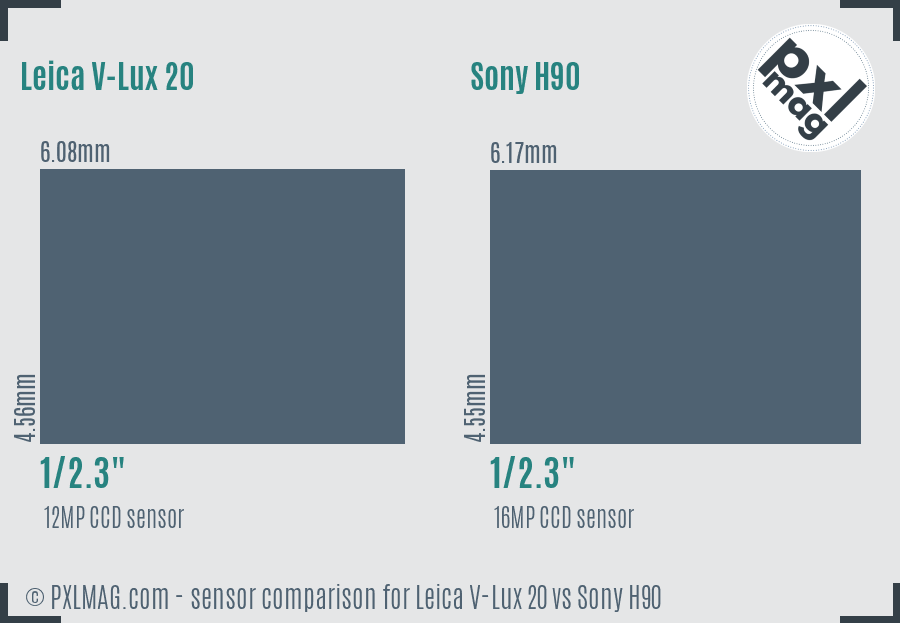 Leica V-Lux 20 vs Sony H90 sensor size comparison