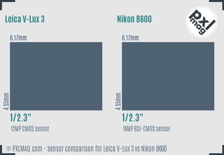 Leica V-Lux 3 vs Nikon B600 sensor size comparison