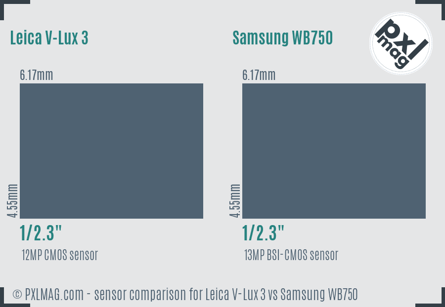 Leica V-Lux 3 vs Samsung WB750 sensor size comparison