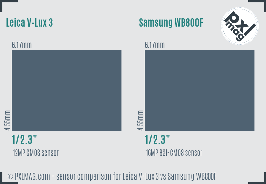 Leica V-Lux 3 vs Samsung WB800F sensor size comparison