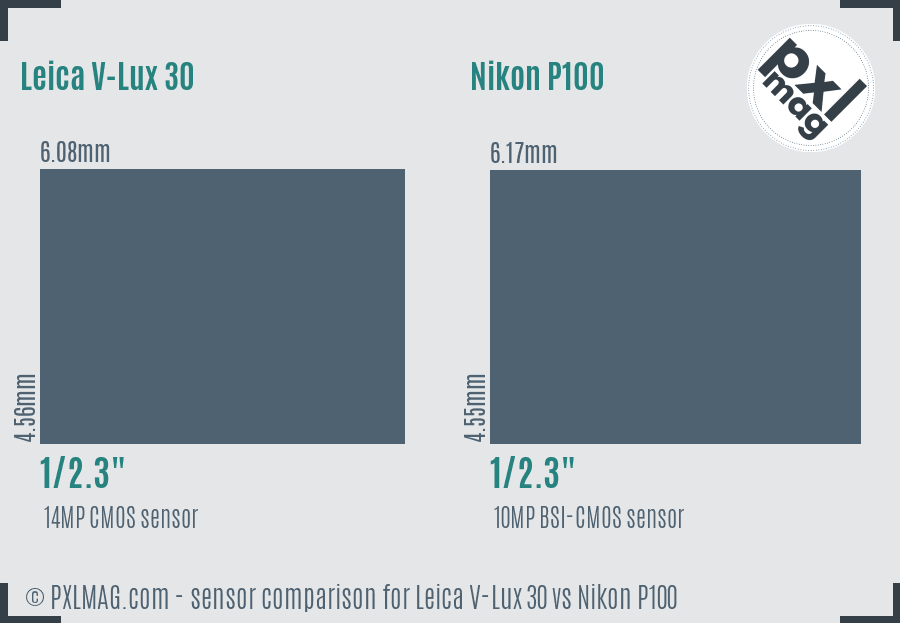 Leica V-Lux 30 vs Nikon P100 sensor size comparison