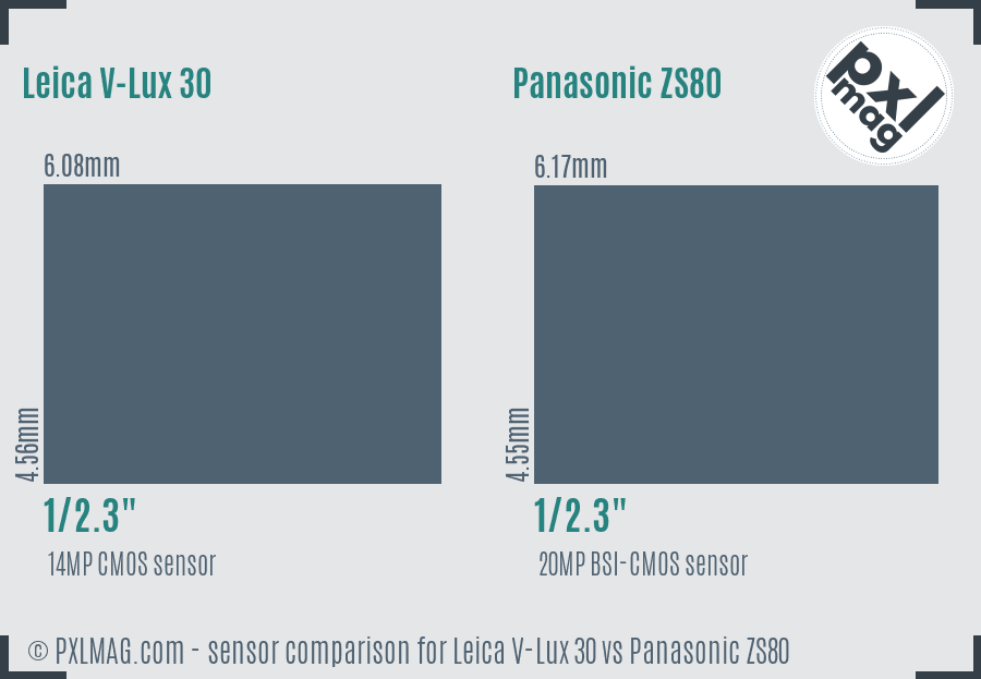 Leica V-Lux 30 vs Panasonic ZS80 sensor size comparison