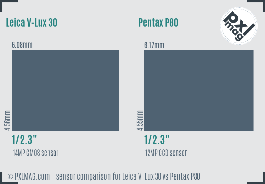 Leica V-Lux 30 vs Pentax P80 sensor size comparison