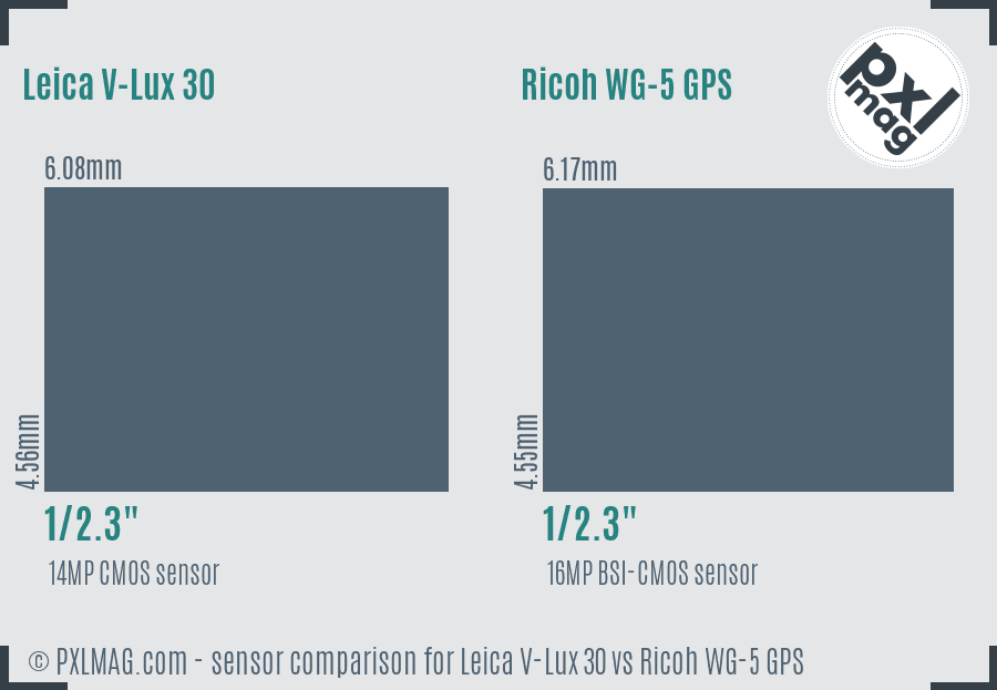Leica V-Lux 30 vs Ricoh WG-5 GPS sensor size comparison