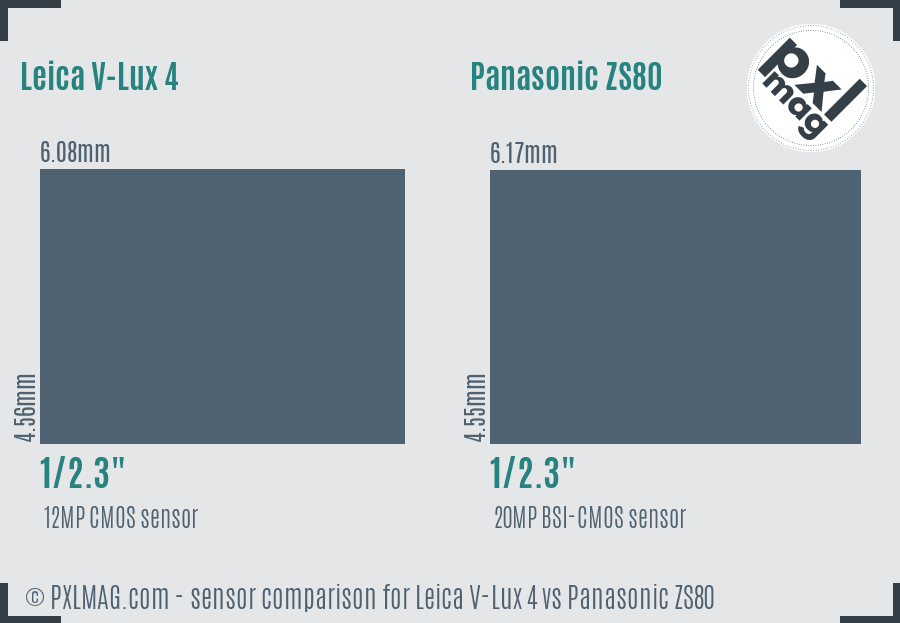 Leica V-Lux 4 vs Panasonic ZS80 sensor size comparison