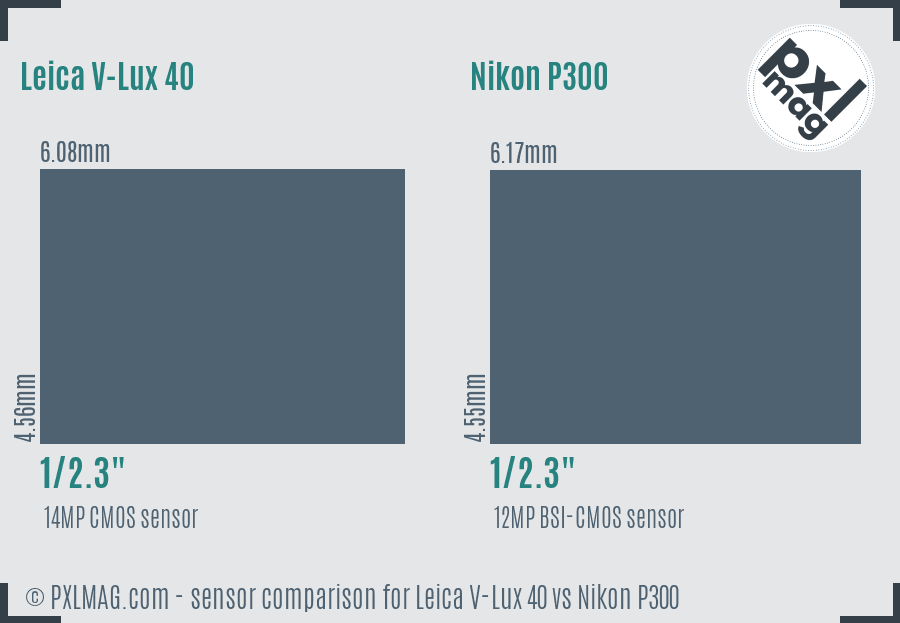 Leica V-Lux 40 vs Nikon P300 sensor size comparison