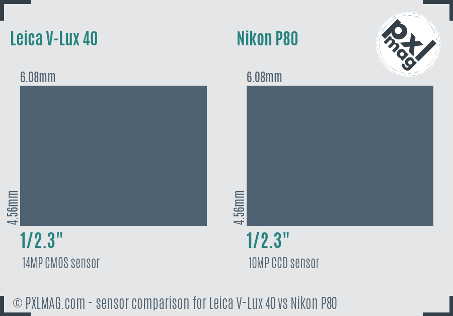 Leica V-Lux 40 vs Nikon P80 sensor size comparison Leica V-Lux 40 vs Nikon P80 sensor size comparison