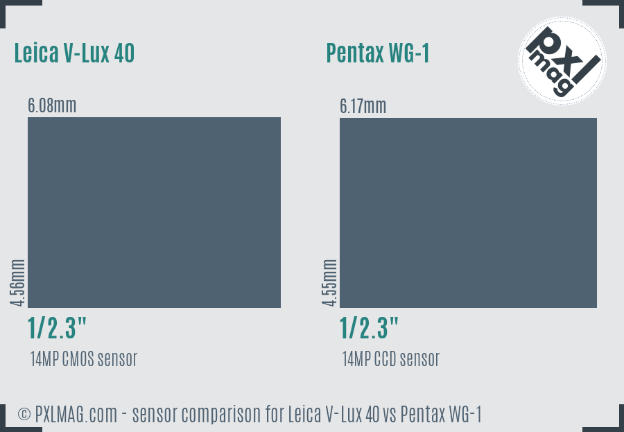 Leica V-Lux 40 vs Pentax WG-1 sensor size comparison