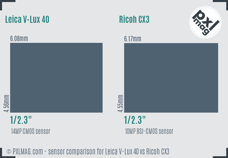 Leica V-Lux 40 vs Ricoh CX3 sensor size comparison
