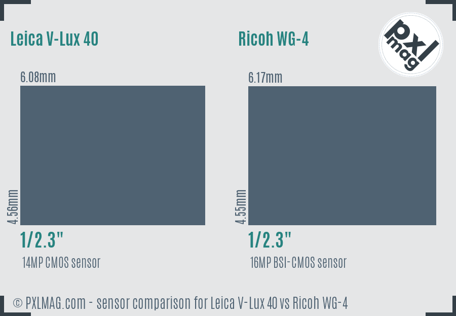 Leica V-Lux 40 vs Ricoh WG-4 sensor size comparison