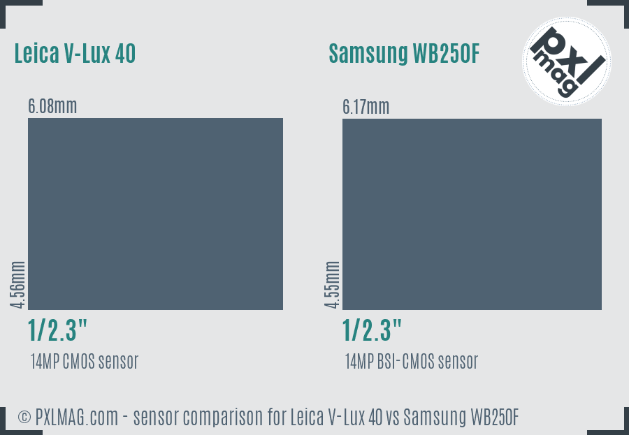 Leica V-Lux 40 vs Samsung WB250F sensor size comparison